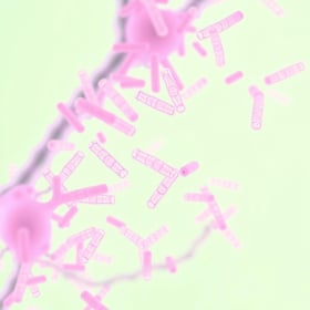 ProDentim-testimonial2