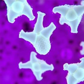 ProDentim-user-testimonial3